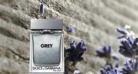 dolce gabbana grey cologne review|dolce and gabbana fragrance reviews.